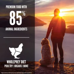 New Senior Dry Dog Food Recipe Food Dry, Wet, Freeze Dried, Etc.