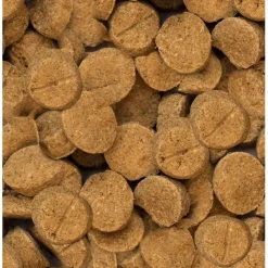 Online Oven-Baked Tradition Large Breed Puppy Chicken Recipe Food Dry, Wet, Freeze Dried, Etc.