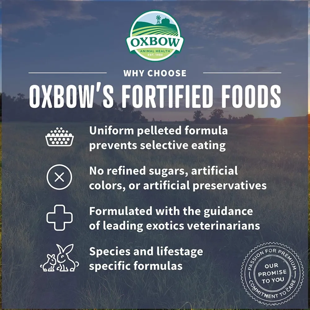 Hot All Natural Essentials Chinchilla Food Shop Small Animal Find All Of The Essentials