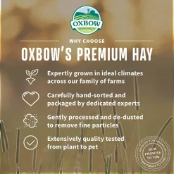 Best Small Animal Health Western Timothy Hay Shop Small Animal Find All Of The Essentials