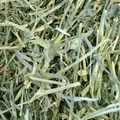 Fashion Small Animal Health Alfalfa Hay Shop Small Animal Find All Of The Essentials