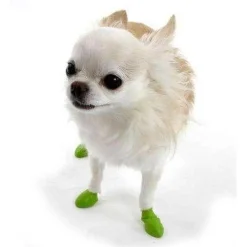 Clearance Dog Boots Supplies Leashes, Collars, Beds, Flea & Tick, Etc.