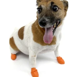Clearance Dog Boots Supplies Leashes, Collars, Beds, Flea & Tick, Etc.