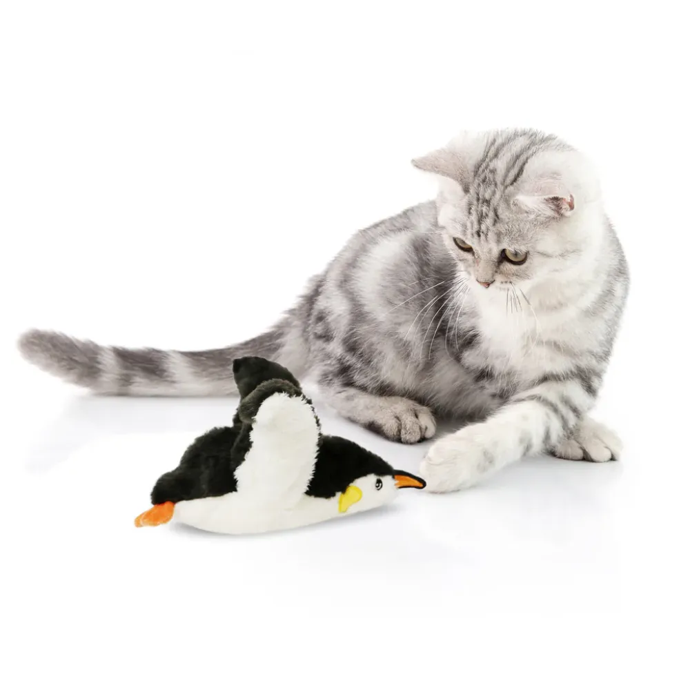 Discount Pete Electronic Dancing Penguin Supplies Collars, Scratchers, Toys, Etc.
