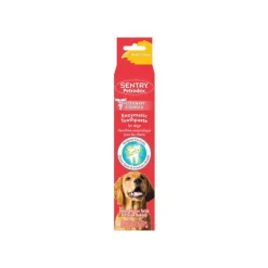 Hot Toothpaste Supplies Leashes, Collars, Beds, Flea & Tick, Etc.