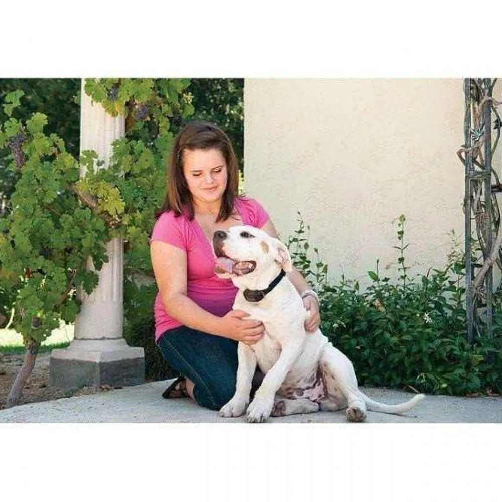 Hot Vibration Bark Control Collar Supplies Leashes, Collars, Beds, Flea & Tick, Etc.