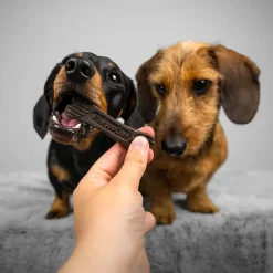 Online Plaque Off System Dental Vegetable & Blueberry Bones Mini Treats Treats & Chews