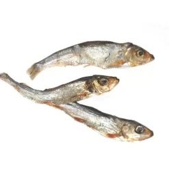 Online Pet Treats Wild Caught Baltic Sprat Fish Dog Treats Treats Treats & Chews
