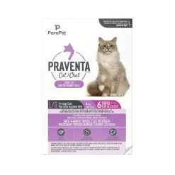 Online for Large Cats 4Kg+ Supplies Collars, Scratchers, Toys, Etc.