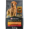 Outlet Adult Complete Essentials Shredded Blend Beef & Rice Dry Dog Food Food Dry, Wet, Freeze Dried, Etc.