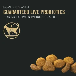 Online Adult Complete Essentials Chicken & Rice Formula Dry Cat Food Dry Food Dry Cat Food