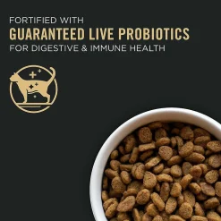 New Allergen Reducing High Protein Cat Food LIVECLEAR Salmon and Rice Formula Dry Food Dry Cat Food
