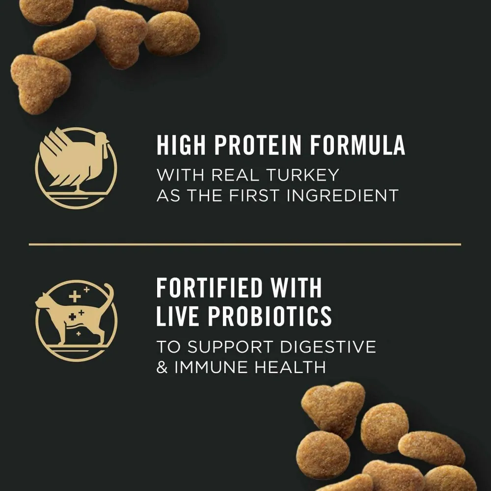 Hot Cat Food Adult Indoor Hairball Turkey Dry Food Dry Cat Food