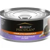 Clearance Complete Essentials Turkey & Vegetables Entree Canned Cat Food Wet Food Cans, Pouches, Tetra Paks, Etc.