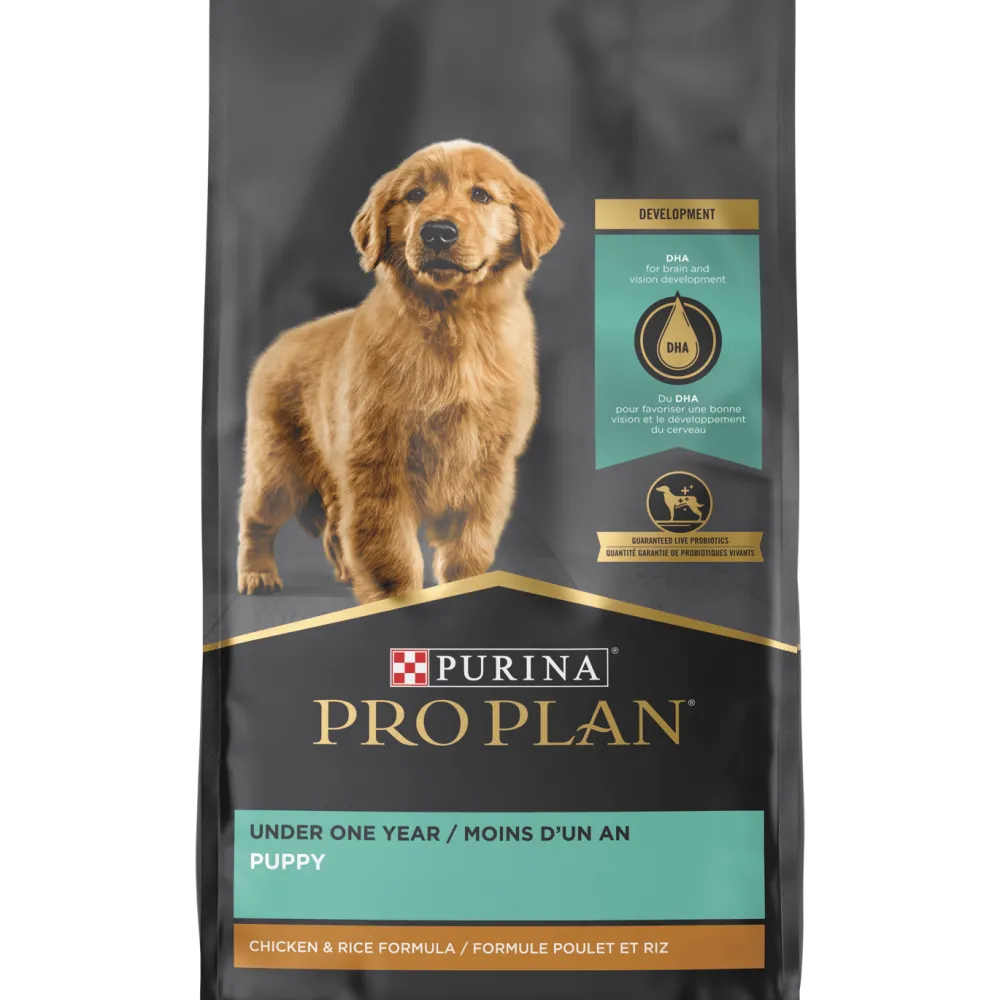 Online Dry Puppy Food Focus Chicken & Rice Formula Food Dry, Wet, Freeze Dried, Etc.