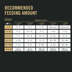 Online Dry Puppy Food Focus Chicken & Rice Formula Food Dry, Wet, Freeze Dried, Etc.