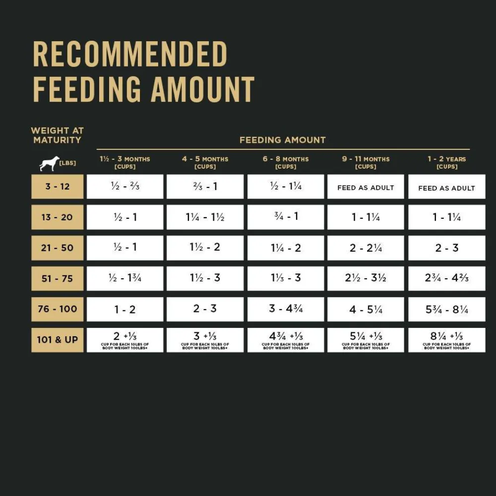 Online Dry Puppy Food Focus Chicken & Rice Formula Food Dry, Wet, Freeze Dried, Etc.