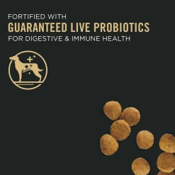 New High Protein DHA Lamb & Rice Formula Puppy Food Food Dry, Wet, Freeze Dried, Etc.