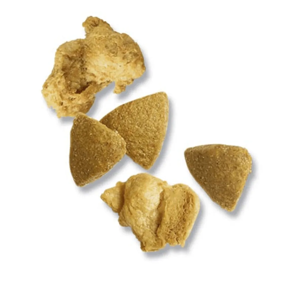 Discount High Protein Dog Food With Probiotics for Dogs Shredded Blend Chicken & Rice Formula Food Dry, Wet, Freeze Dried, Etc.