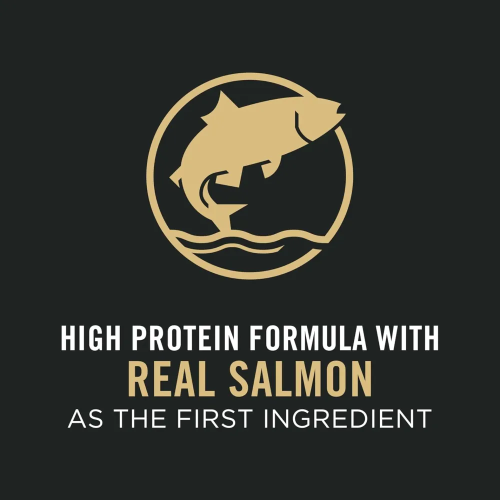 Outlet High Protein Dog Food With Probiotics for Dogs Shredded Blend Salmon & Rice Formula Food Dry, Wet, Freeze Dried, Etc.