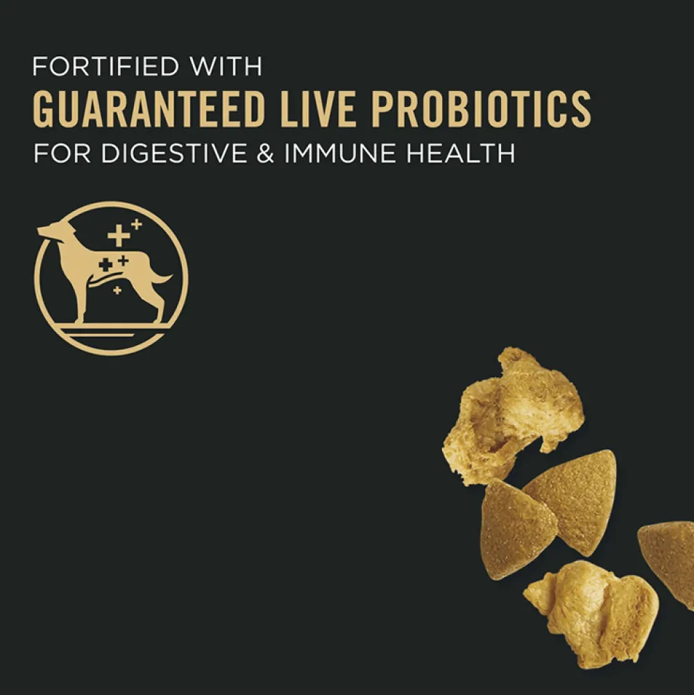 Discount High Protein Dog Food With Probiotics for Dogs Shredded Blend Chicken & Rice Formula Food Dry, Wet, Freeze Dried, Etc.