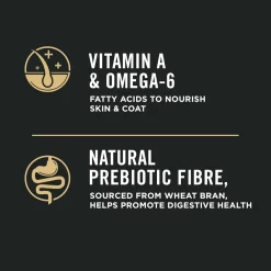 Outlet High Protein Dog Food With Probiotics for Dogs Shredded Blend Salmon & Rice Formula Food Dry, Wet, Freeze Dried, Etc.