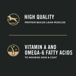 New High Protein DHA Lamb & Rice Formula Puppy Food Food Dry, Wet, Freeze Dried, Etc.