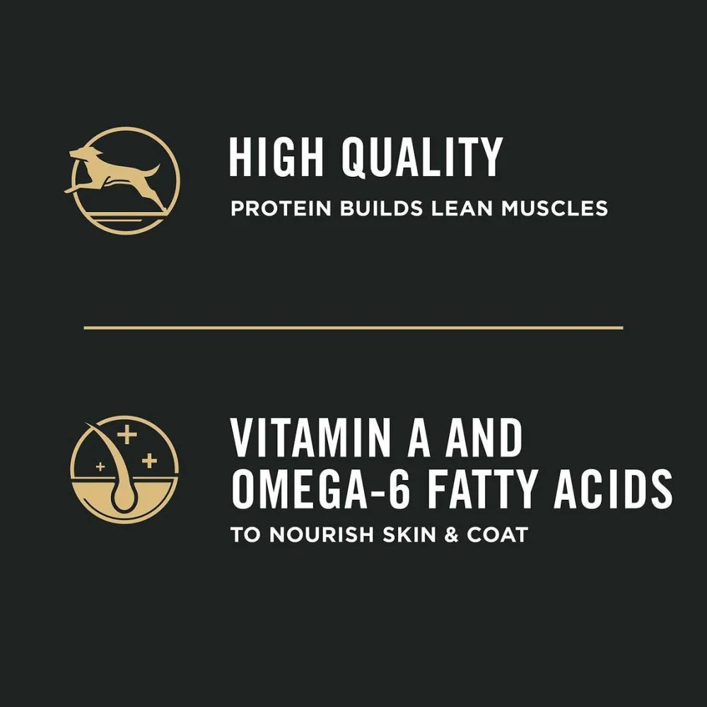 New High Protein DHA Lamb & Rice Formula Puppy Food Food Dry, Wet, Freeze Dried, Etc.