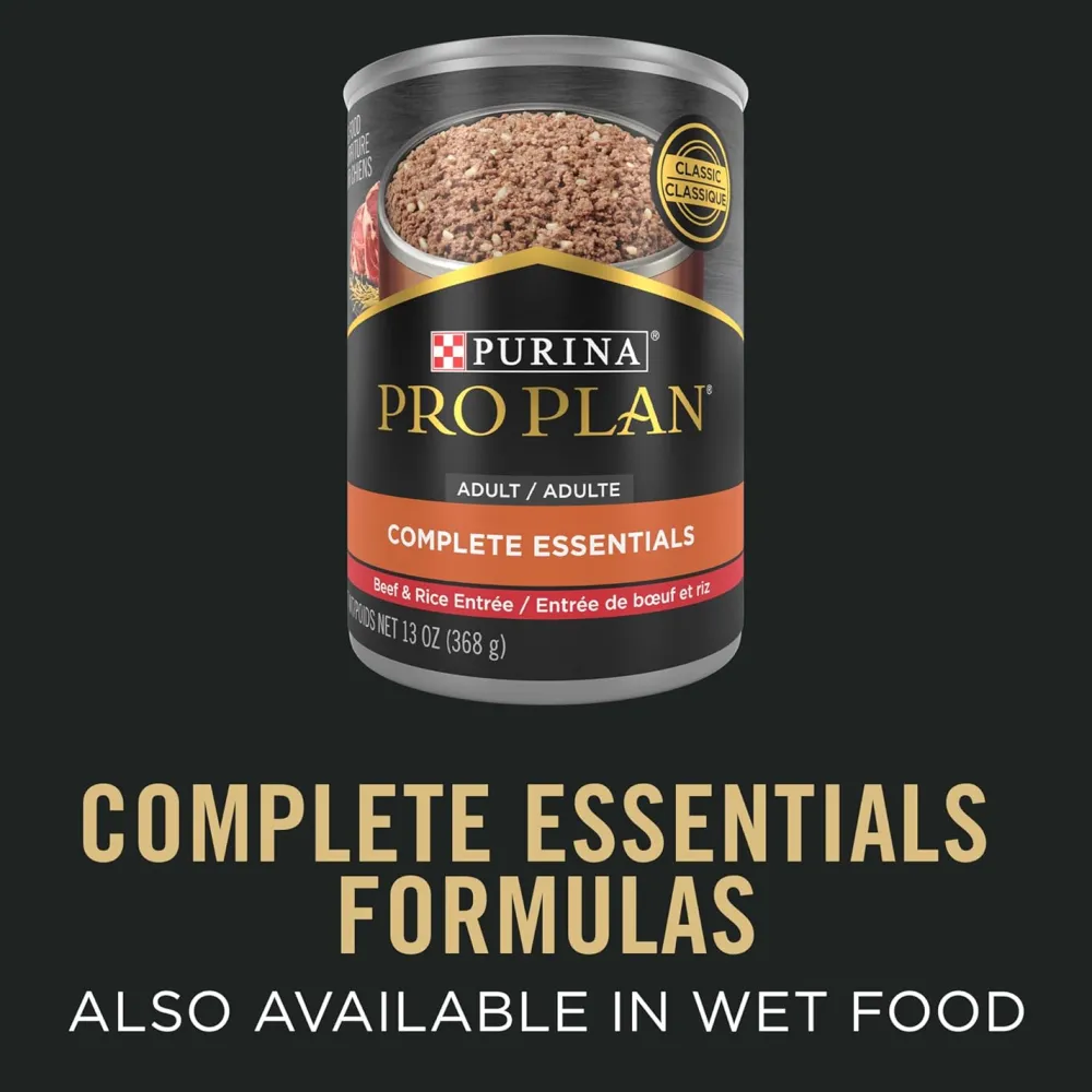 Outlet High Protein Dog Food With Probiotics for Dogs Shredded Blend Salmon & Rice Formula Food Dry, Wet, Freeze Dried, Etc.