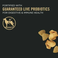 Outlet High Protein Dog Food With Probiotics for Dogs Shredded Blend Salmon & Rice Formula Food Dry, Wet, Freeze Dried, Etc.
