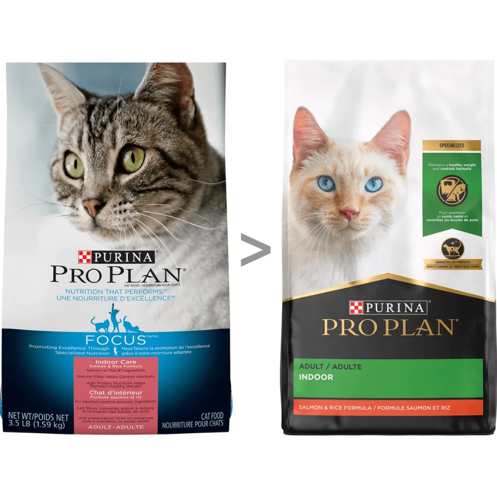 Hot Indoor Hairball Care Adult Dry Cat Food Salmon & Rice Dry Food Dry Cat Food