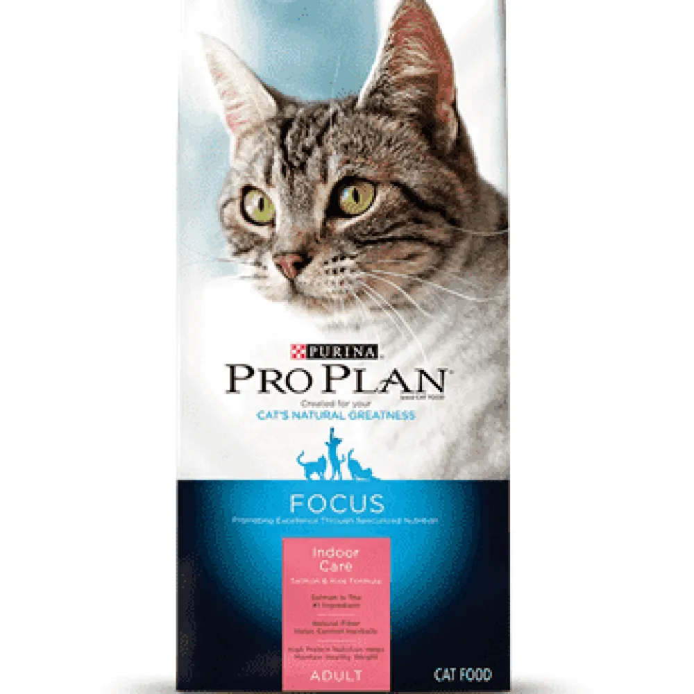 Hot Indoor Hairball Care Adult Dry Cat Food Salmon & Rice Dry Food Dry Cat Food