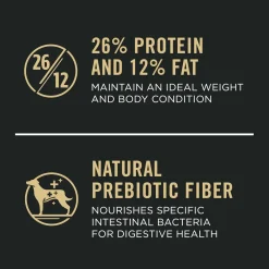 Outlet Joint Health Large Breed Dog Food Chicken & Rice Formula Food Dry, Wet, Freeze Dried, Etc.