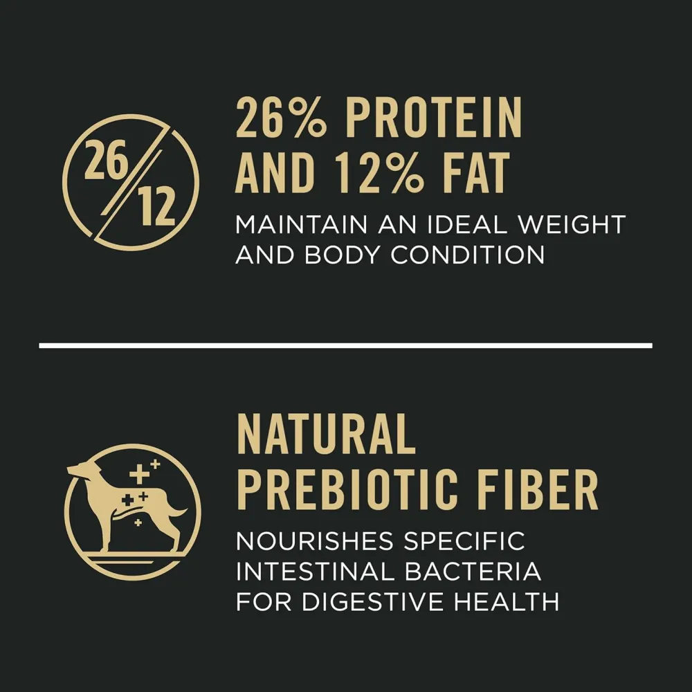 Outlet Joint Health Large Breed Dog Food Chicken & Rice Formula Food Dry, Wet, Freeze Dried, Etc.