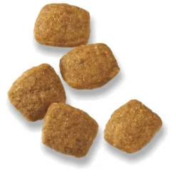 Fashion Senior Dog Food With Probiotics Bright Mind 7+ Chicken & Rice Formula Food Dry, Wet, Freeze Dried, Etc.