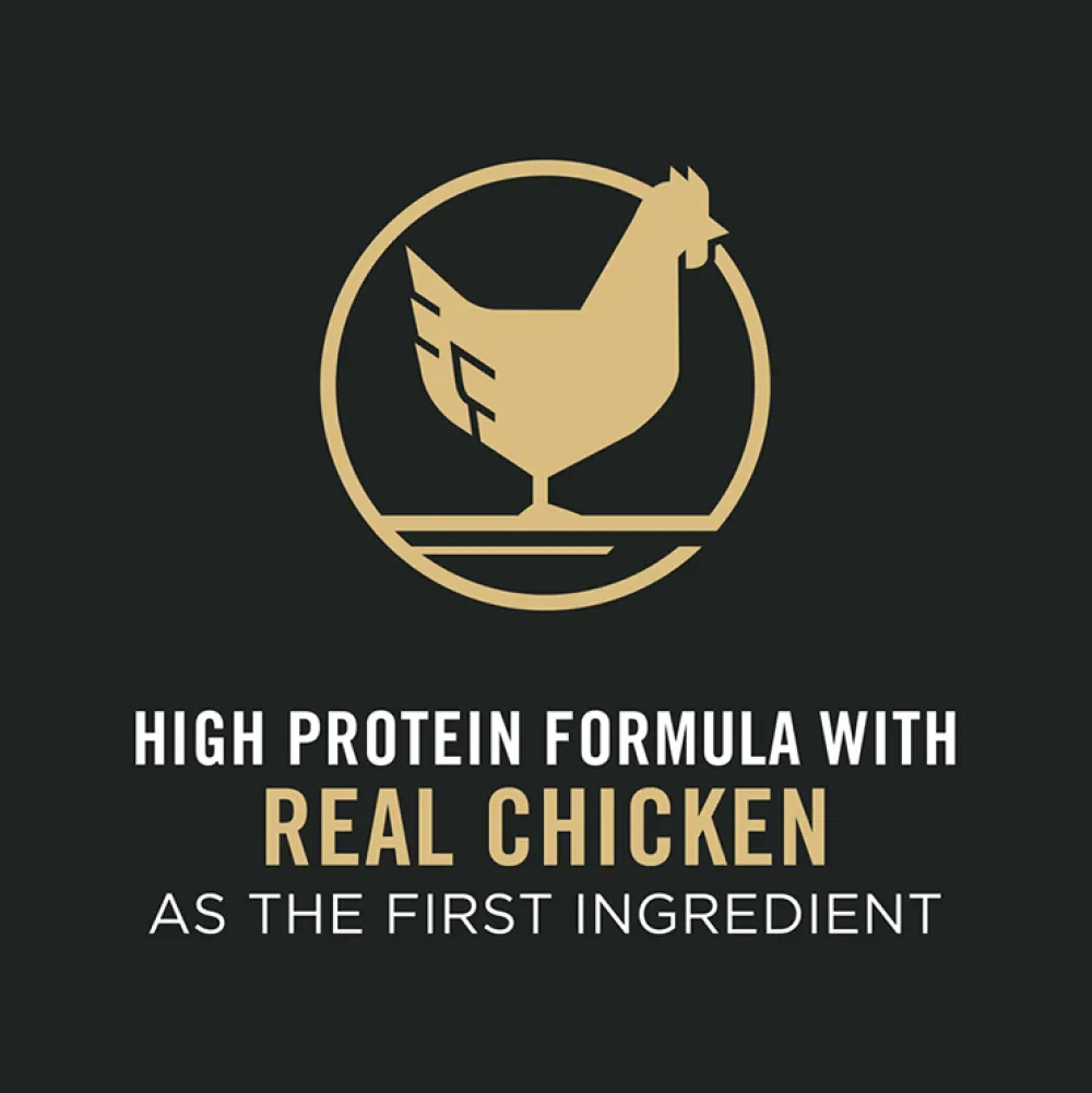 Fashion Senior Dog Food With Probiotics Bright Mind 7+ Chicken & Rice Formula Food Dry, Wet, Freeze Dried, Etc.