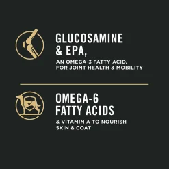 Fashion Senior Dog Food With Probiotics Bright Mind 7+ Chicken & Rice Formula Food Dry, Wet, Freeze Dried, Etc.