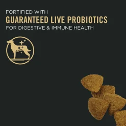 Fashion Senior Dog Food With Probiotics Bright Mind 7+ Chicken & Rice Formula Food Dry, Wet, Freeze Dried, Etc.