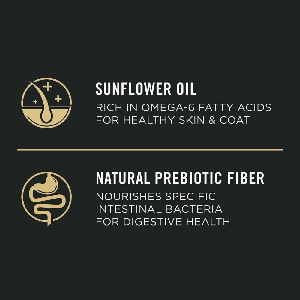 Discount Sensitive Skin & Stomach 7+ Salmon & Rice Formula Dry Dog Food Food Dry, Wet, Freeze Dried, Etc.