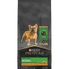 Online Small Breed Dog Food With Probiotics Shredded Blend Chicken & Rice Formula Food Dry, Wet, Freeze Dried, Etc.