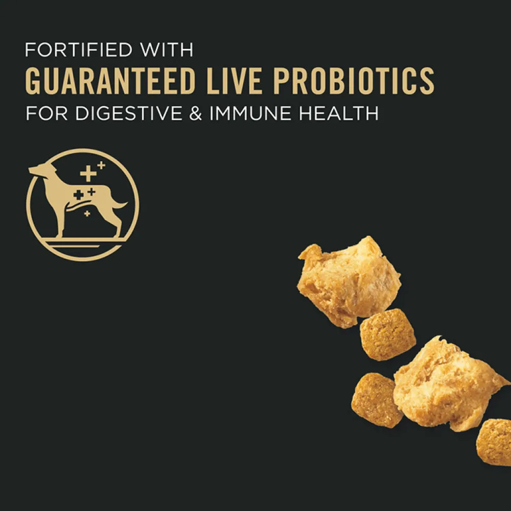 Online Small Breed Dog Food With Probiotics Shredded Blend Chicken & Rice Formula Food Dry, Wet, Freeze Dried, Etc.