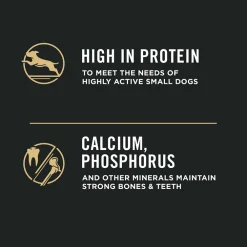 Online Small Breed Dog Food With Probiotics Shredded Blend Chicken & Rice Formula Food Dry, Wet, Freeze Dried, Etc.
