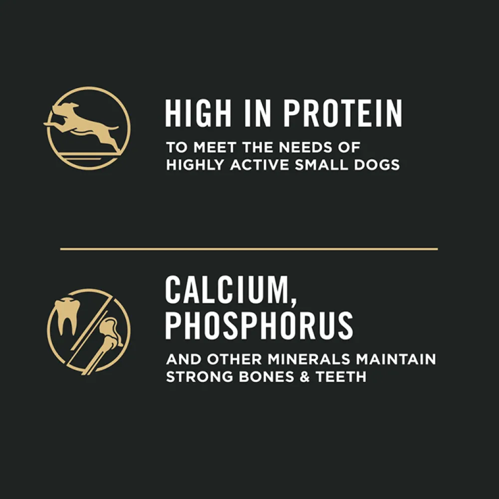 Online Small Breed Dog Food With Probiotics Shredded Blend Chicken & Rice Formula Food Dry, Wet, Freeze Dried, Etc.