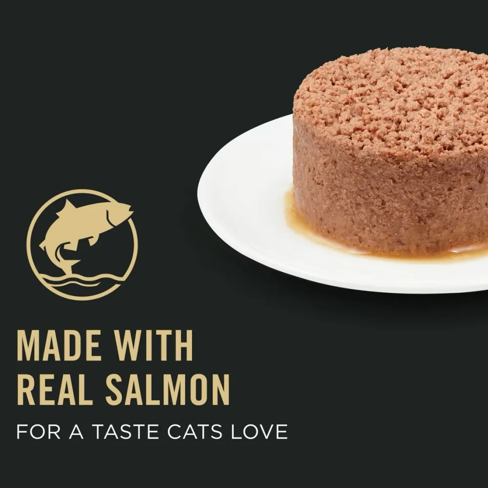 Clearance Vital Systems 4-in-1 Salmon Pate Wet Cat Food Wet Food Cans, Pouches, Tetra Paks, Etc.