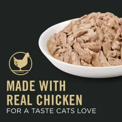 Outlet Vital Systems Chicken Entree in Wet Cat Food Gravy Wet Food Cans, Pouches, Tetra Paks, Etc.