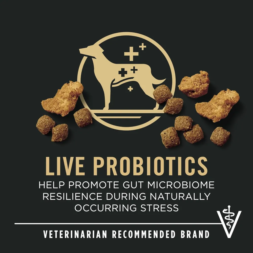 Outlet Weight Management Dog Food With Probiotics for Dogs Chicken & Rice Formula Food Dry, Wet, Freeze Dried, Etc.