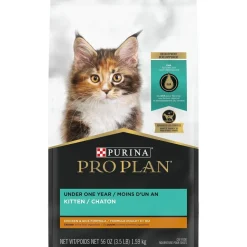 Hot With Probiotics High Protein Dry Kitten Food Chicken & Rice Formula Dry Food Dry Cat Food