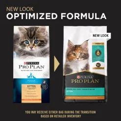 Hot With Probiotics High Protein Dry Kitten Food Chicken & Rice Formula Dry Food Dry Cat Food