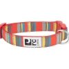 Sale RC Adjustable Dog Clip Collar Multi Stripes Supplies Leashes, Collars, Beds, Flea & Tick, Etc.
