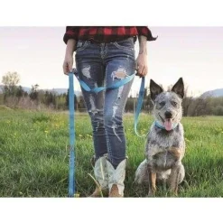 Clearance RC Adjustable Dog Collar Primary Red Supplies Leashes, Collars, Beds, Flea & Tick, Etc.